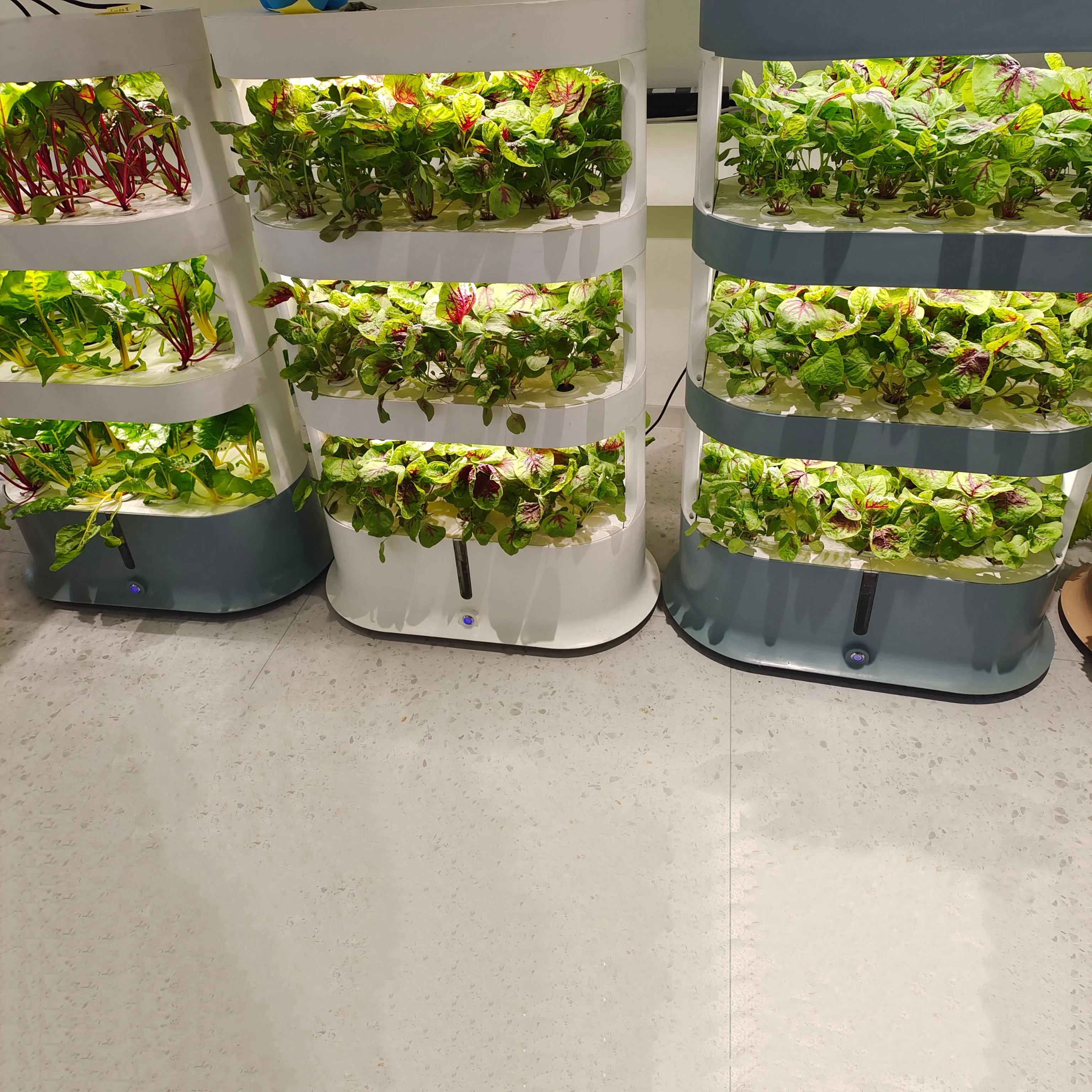 Indoor Hydroponic Soilless Planting Smart Grow Box