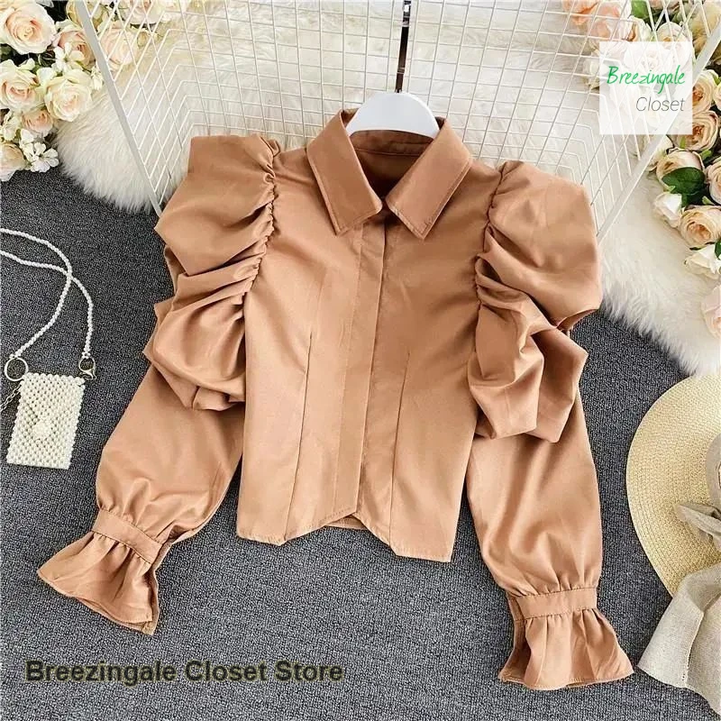 

French fashion temperament elegant palace style bubble sleeve blouse women's spring and autumn new retro lapel short shirt.