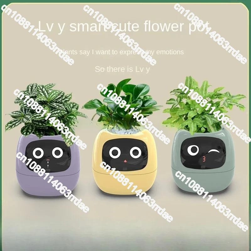 Intelligent Potted Ivy Desktop Green Plant Intelligent Cute Pet interaction Flower Pot Cartoon Expression Plant Emotions English