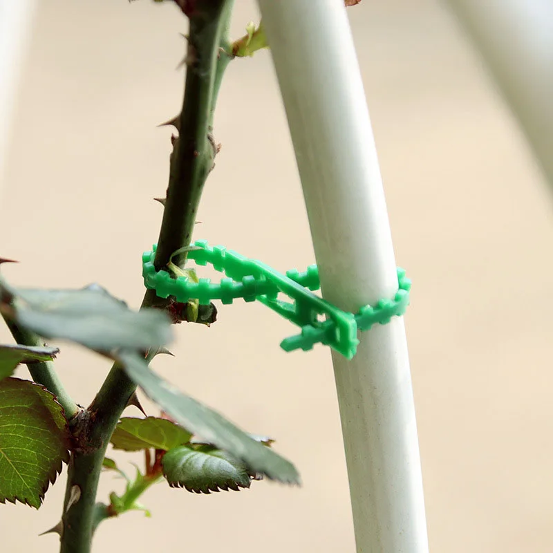 25/50/100 szt. Opaski ogrodowa wielokrotnego użytku regulowana plastikowe opaski kablowe opaski narzędzia podtrzymujące krzewy zapięcie na drzewo z