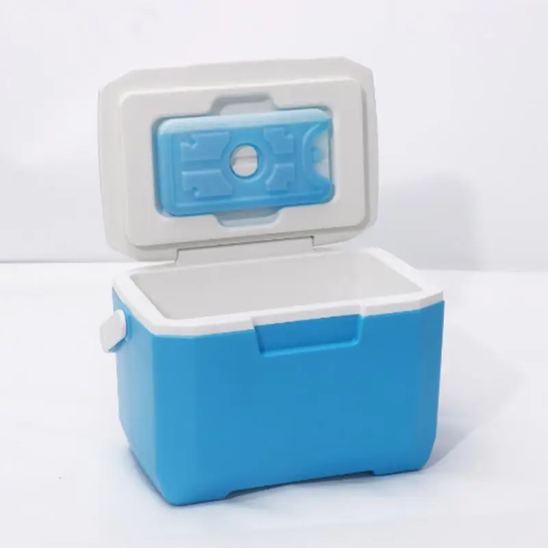 Insulated Portable Cooler Outdoor Cooler Insulated Container With Ice Retention 6L Hard Shell Refrigeration Box For Beach Picnic