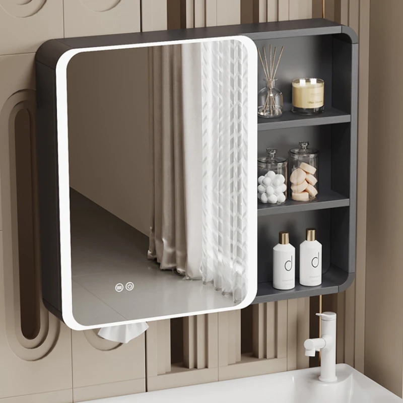 

Bracelet Organizer Large Minimalist Mirror Display Cabinet Makeup Brush Holder Full Earring Storage Oversized Cabinets Long Big