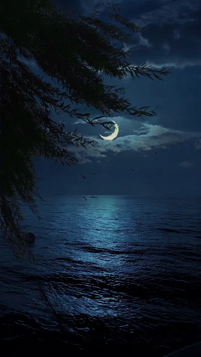 

FOR Gearbox Casing for FMS FCX24M Camel Cup D90 D110 Land Rover Defender First Generation Range Rover Discovery RC Car Upgrade