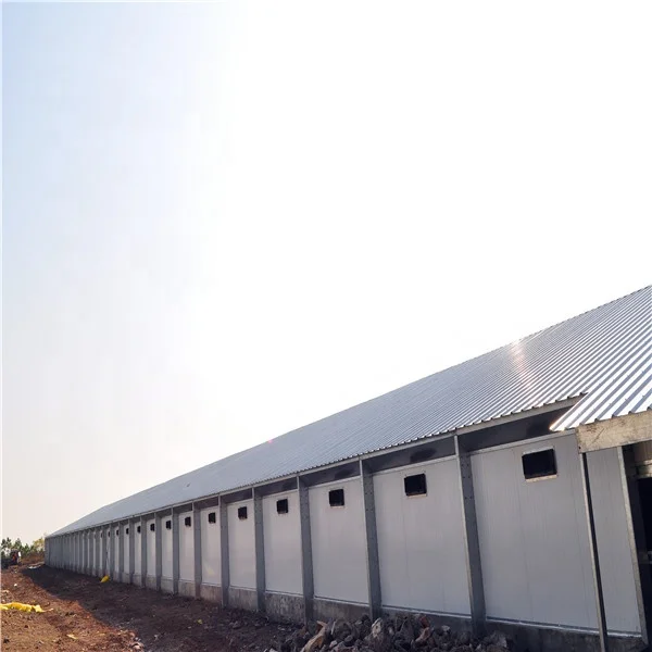 Equipamento de frango de corte automático, estilo industrial profissional, casa de contêiner de frango