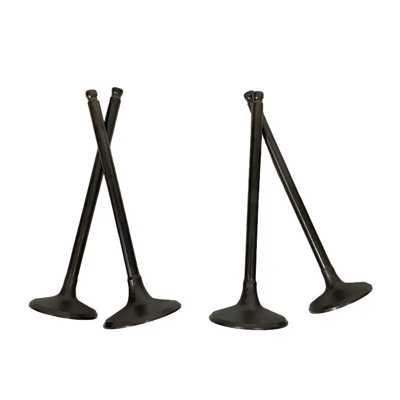 

4 шт. клапаны двигателя мотоцикла для Kawasaki KLX300 KLX300R YF300