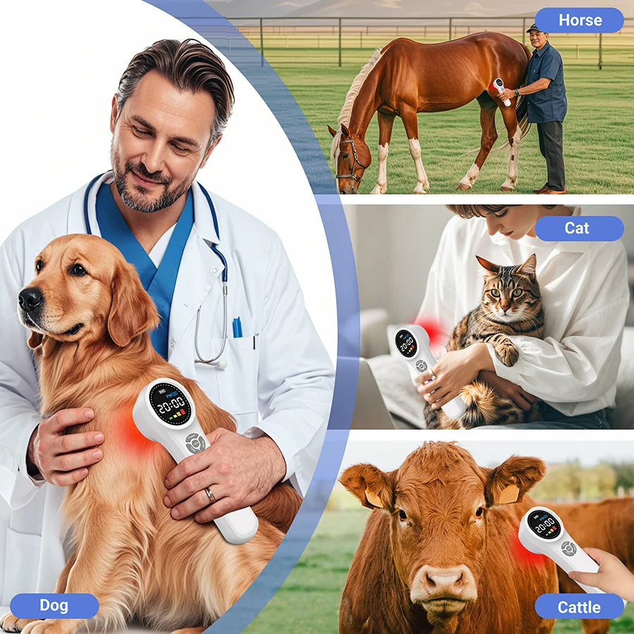 2026 New Handheld Lllt Cold Laser Therapy Device for Medical Office Home Use Pain Control with 4X980nm 4X810nm 16X660nm 24 Diode