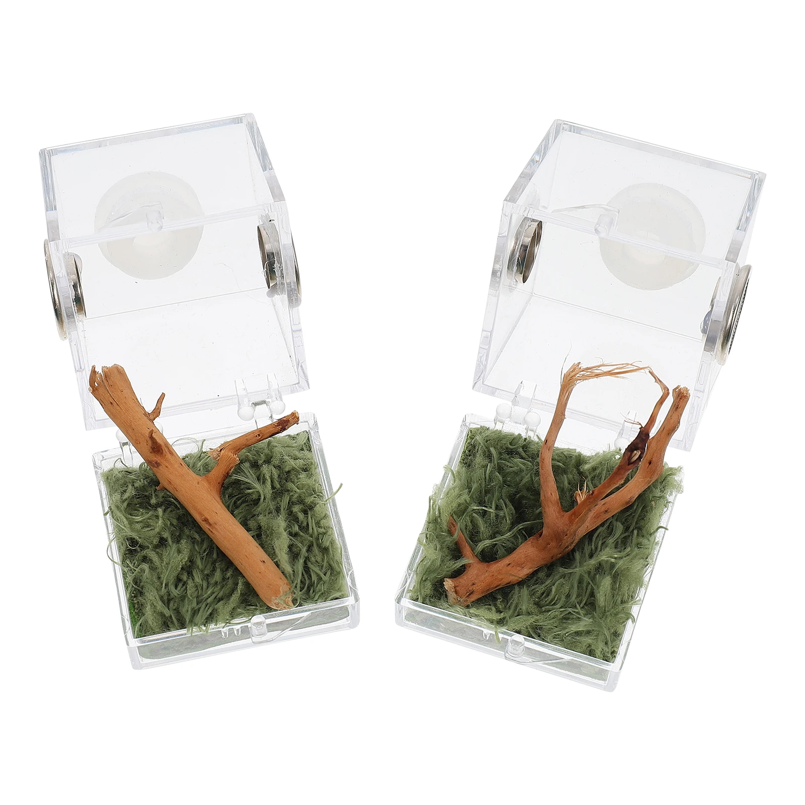 

Spider Habitat Box Glass Breeding Container Lightweight Small Size Insect Snail Spider Reptile Beetle Pet Case