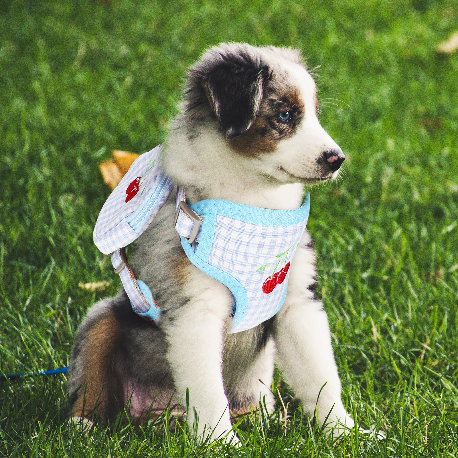

2pcs Detachable Chest type Dog Leash Backpack Bear Pattern Small Polyester Pet Harness Outdoor Travel