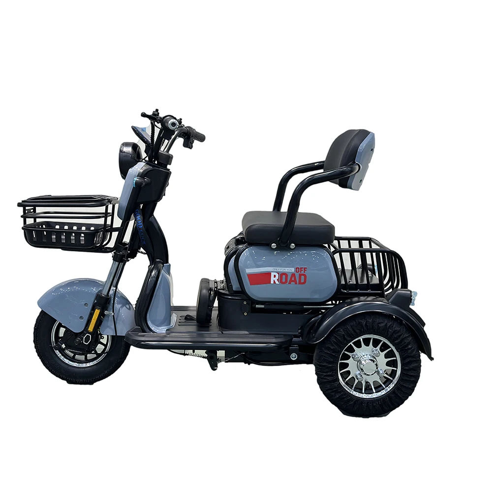 20 Inch Electric Trike adults 750W Motor Fat Tire 3 Wheel tricycle bike electro Three Wheels Adult Cargo Electric Bike