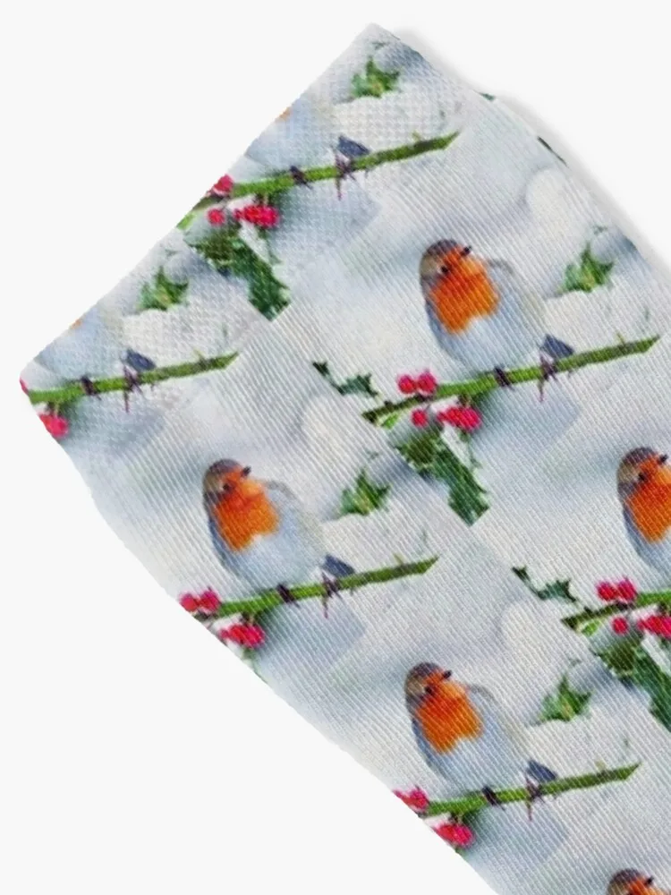 European Robin Socks winter gifts ankle Mens Socks Women's