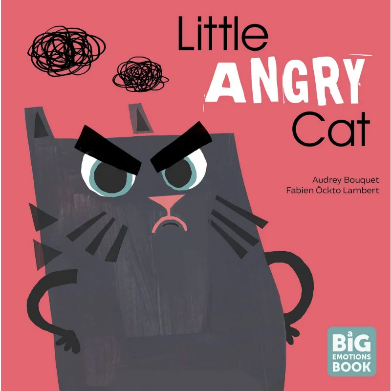 Een boek met grote emotiesKleine boze kat Audrey Boeket Klinkt waar 9781683648352 Boek
