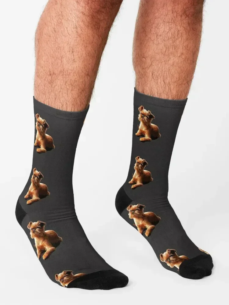 Brussels Griffon Gorgeous Dog Art! Socks valentine gift ideas kids Toe sports Argentina Luxury Woman Socks Men's