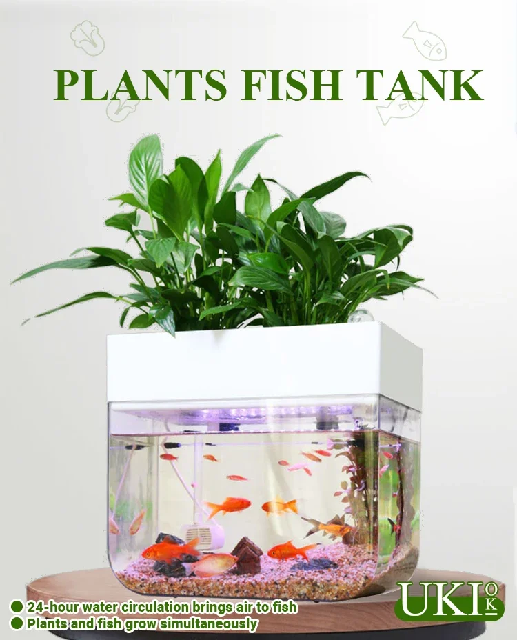 Hot Sale Plant New Type Complete Hydroponic Indoor Aquaponics Growing Systems Aquarium Fish Tank