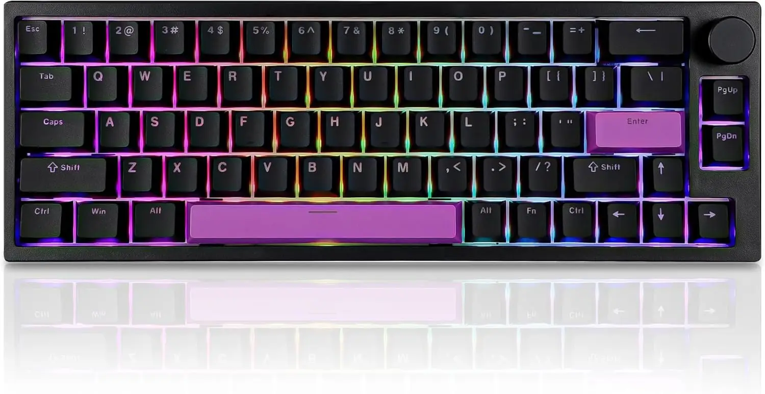 

66Pro Rapid Trigger Mechanical Keyboard, 65% RGB Gaming Keyboard with Magnetic Switch, 8K Hz Polling Rate, Hot-Swap, Adjustable