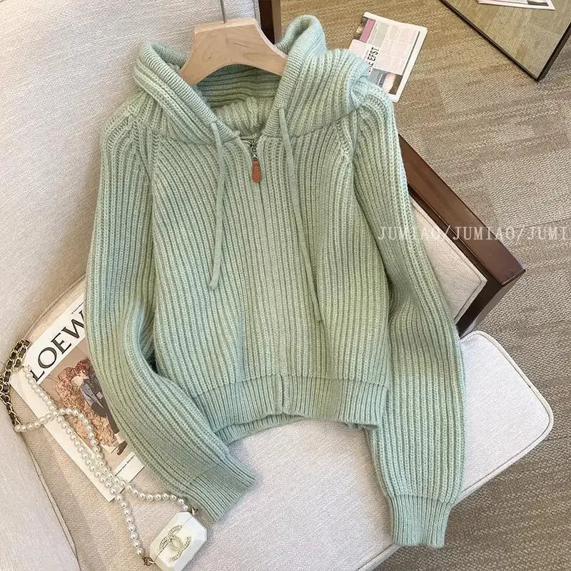 Orange Cat Gentle Style Soft Supple Hooded Knitted Cardigan Women's 2024 Spring Autumn New Distinct Inner Long Sleeve Top