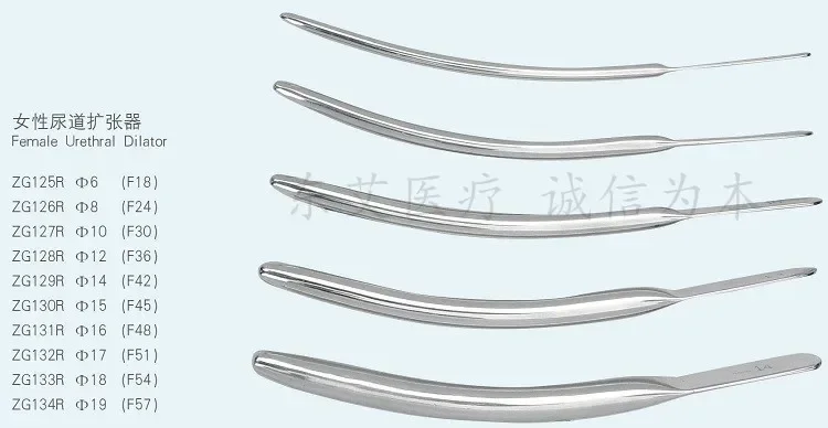 Medical Female Urethral Dilator (F18 to F57) Urethral Probe Strip Urethral Stenosis Stainless Steel