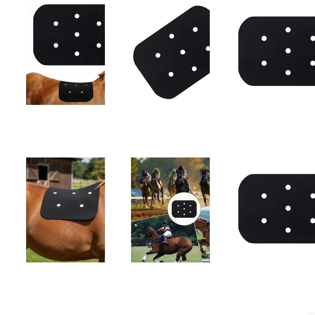 Equine Saddles Pad for Training Rides, Perforated PVC Layer with Double-Sided Design and Black Finish for Use 69HD