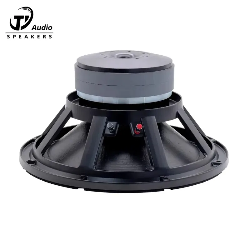 Professional Speaker 18 Inch Double Magnet for Line Array System Powered 18'' Subwoofer Driver OEM