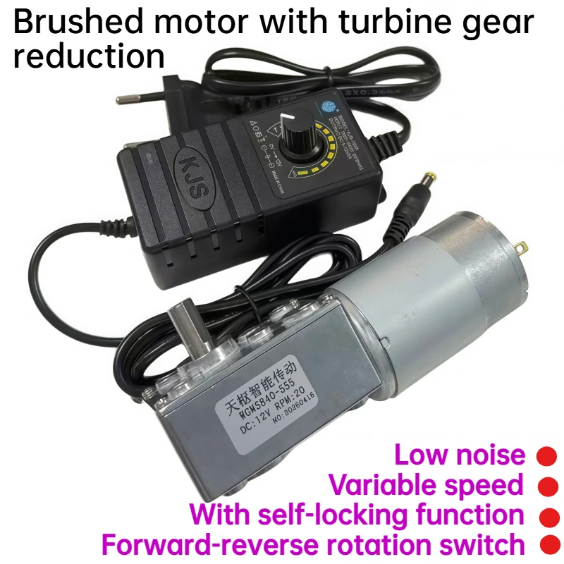 5840-555 PMDC gear motor | 12V/24V turbine worm gear | High torque | Adjustable speed / With control power supply