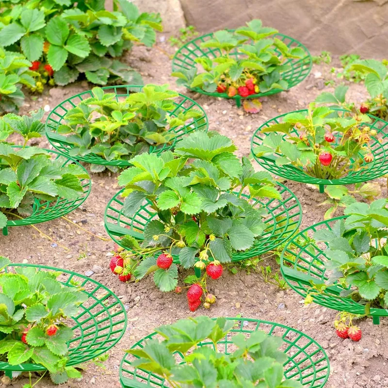 Strawberry Stand Frame Holder Fruit Support Plant Flower Climbing Pillar Gardening Stand 20PCS