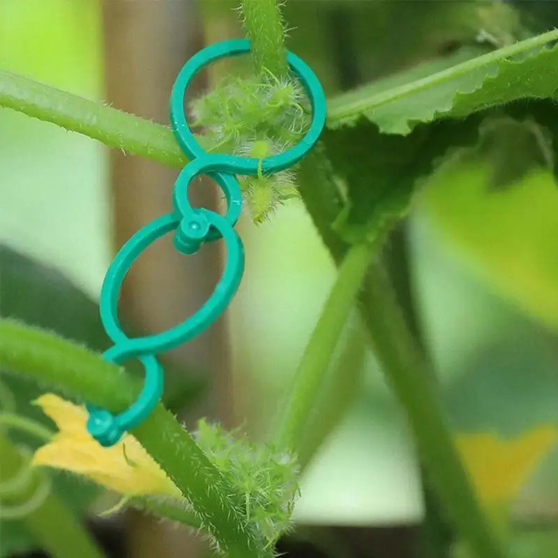 Clips de plantes de jardin en plastique vert, support de plante verticale, anneau de vigne groupé, outils de support de jardin, 1 pièce, 2 pièces, 4 pièces