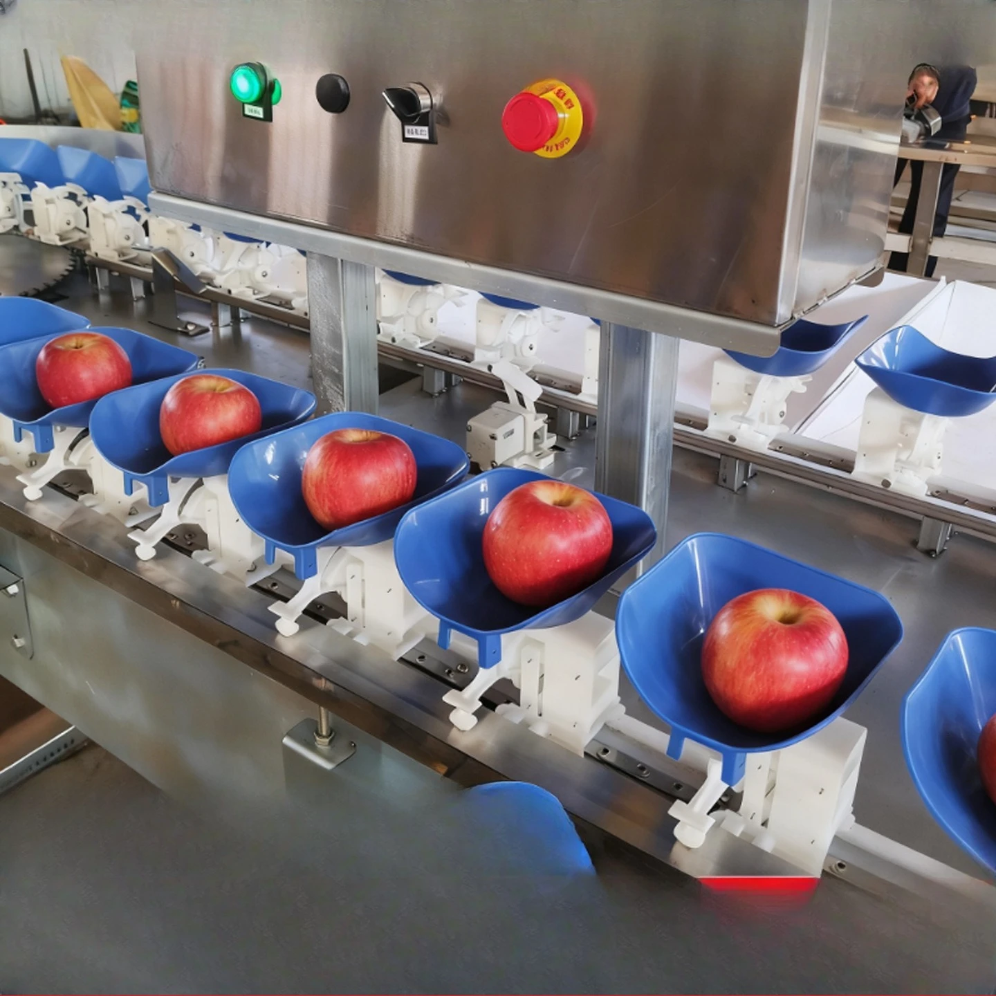 Fruit sorting machine apple orange pomegranate fig weighing sorting machine