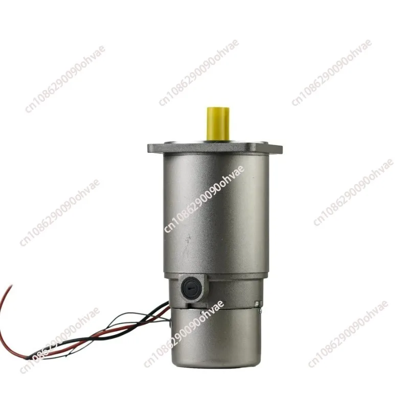 10W Watt High Torque Permanent Magnet 12 V DC Electric Gear Motor