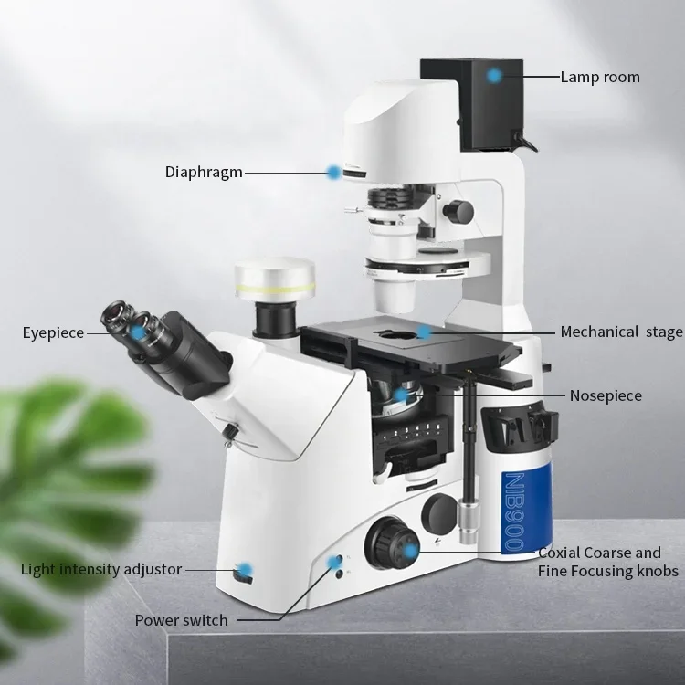 Microscopio de fluorescencia invertida objetivo Boshida BD-NIB910 APO con iluminación LED de contraste de fase