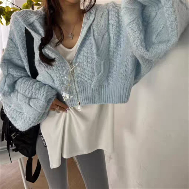 

Korean INS Anti-Aging Hooded Zipper Sweater Jacket Women Loose Batwing Short Knitted Open Cardigan Outerwear