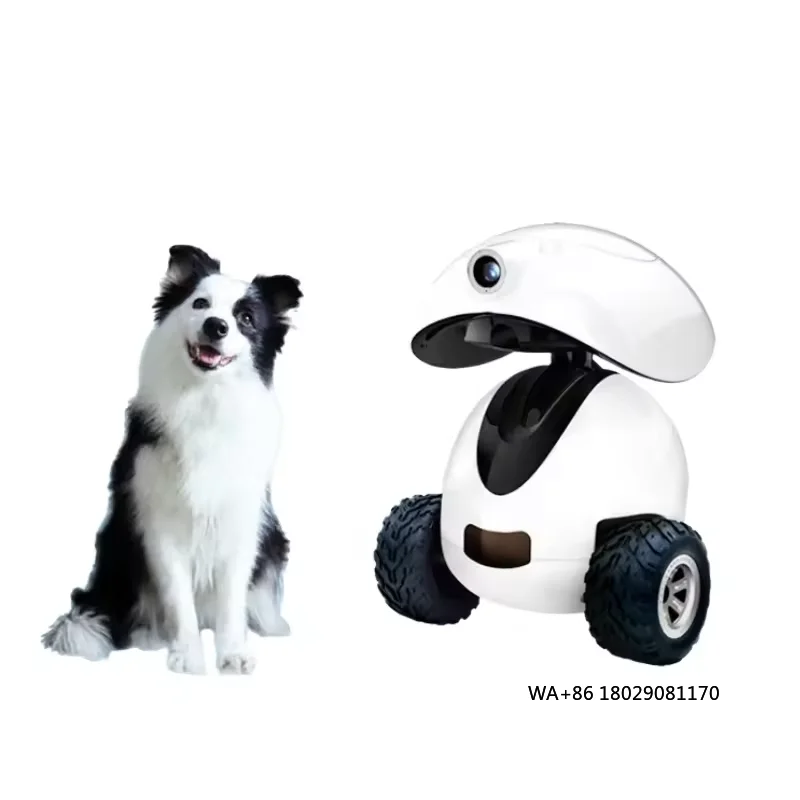 

Smart Dog Toy Cat Automatic Robot with Night Vision Function App Control Luxury Style OEM Pet Luxury Eco-Friendly