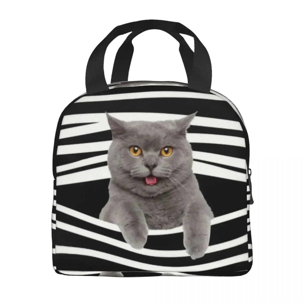 Britânico shorthair gato listras térmico isolado almoço saco feminino portátil almoço tote para trabalho escolar comida bento caixa