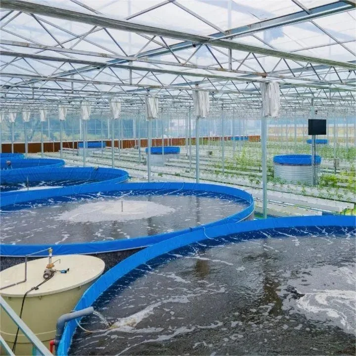 

High Capacity Large Fish Tank Corrosion Resistance Tarpaulin Fish Pond Ras System For Fish Farming