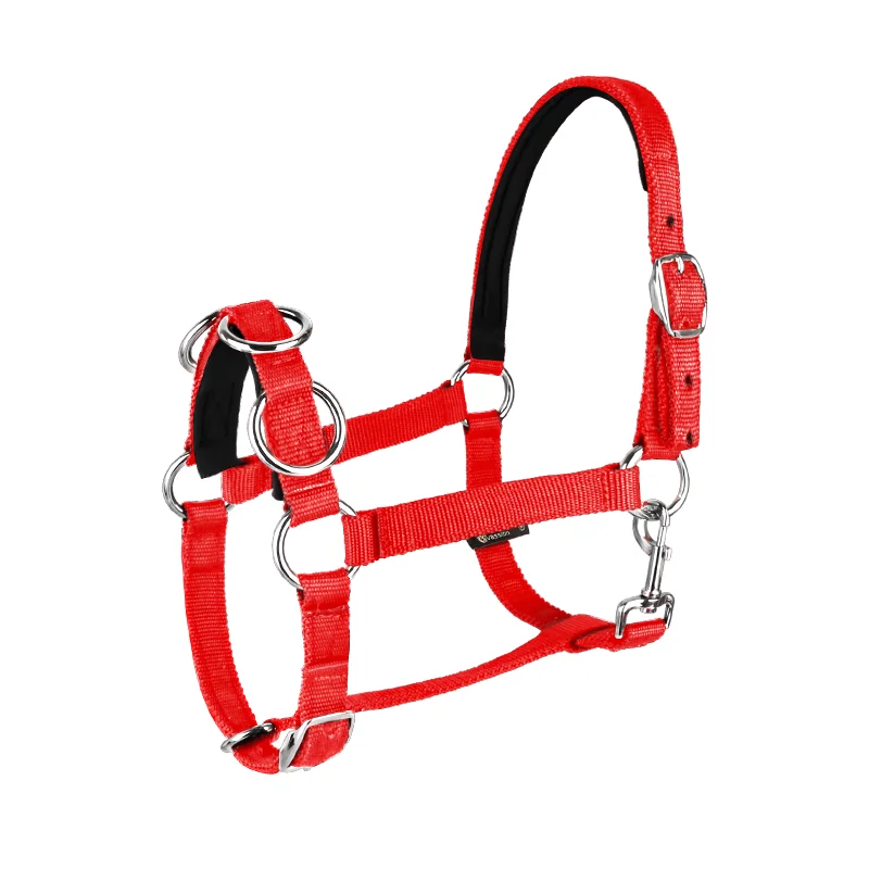 Cavpassion-Halter Hogs and Halter Train, Equestrian Equipment, Horse Riding, 8218008