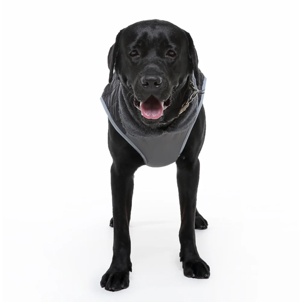 

Clothes Dog Costume Puppy Jacket Waterproof Big Dog Warm Pet Coat Clothing Stylish Pet Wear