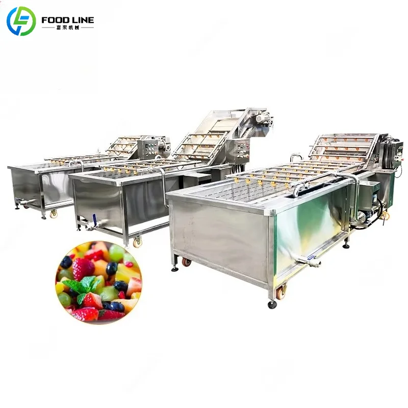 Customized High Capacity Fruit & Vegetable Washing Machine Bubble Cleaner with Pressure Pump and Waste Water Outlet