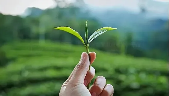 

4 шт., 69 мм, резиновая шина, 12 мм, шестигранная шина для Arrma 1/18 2S Typhon Grom, детали для обновления радиоуправляемого автомобиля, аксессуары