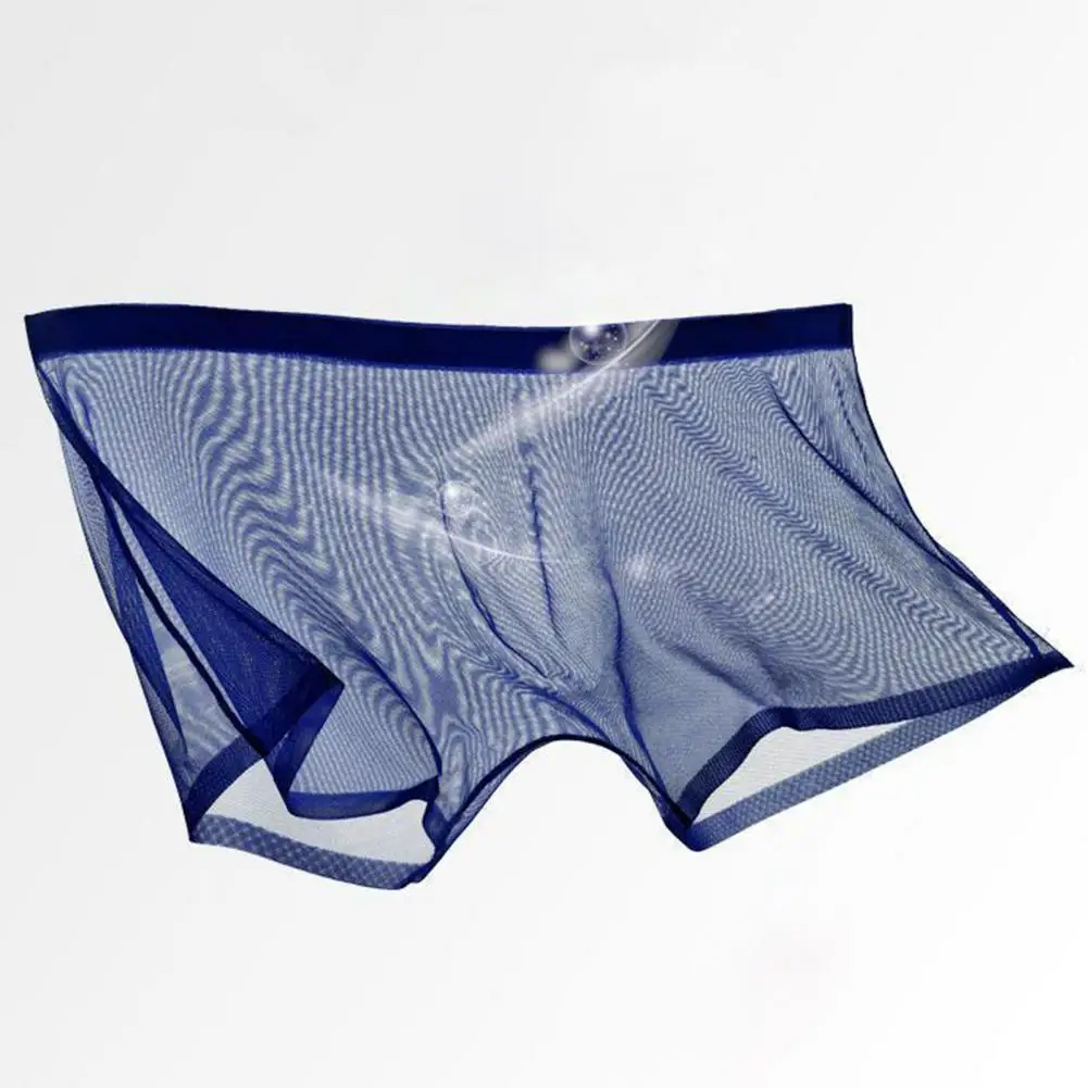 Men Underpants Breathable Solid Color Lint Free Elastic Waist Polyester Quick Dry Mesh Men Boxers Underwear for Adult Men Briefs