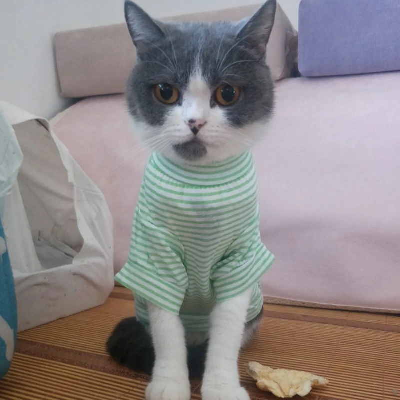 Spring Summer Cat Clothing Soft Cotton Pet Pullovers Shirt for Cats 4 Colors Striped Kitten Vest Pajamas Pets Clothes Outfits