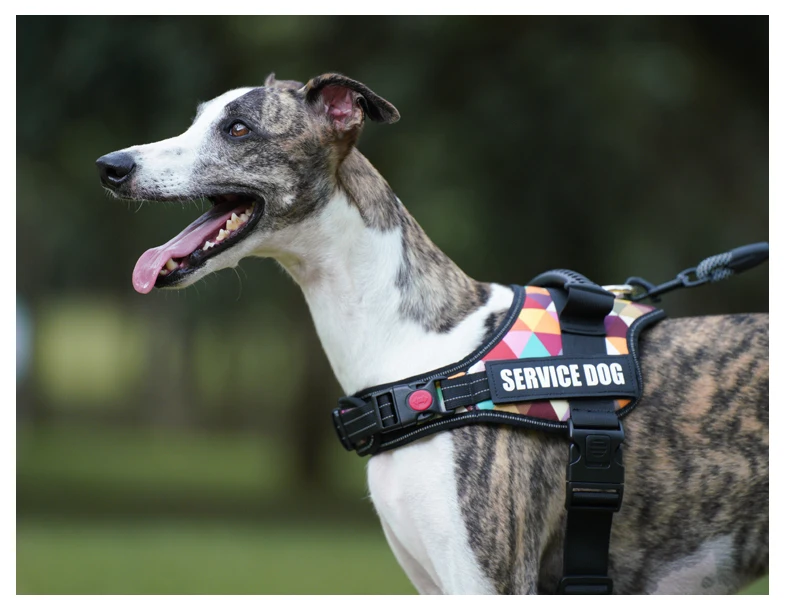 Hundegeschirr, anpassbar, personalisierte Aufnäher, Hundeweste, einfacher Kontrollgriff, verstellbare Rückseite, kleines, mittelgroßes und großes Hundehalsband – Detail 9