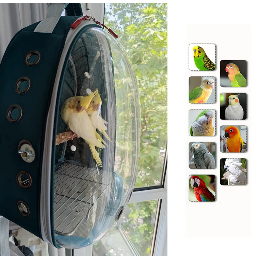 Parrot Carrier Portable Bird Cage with Prech and Feeder Acrylic 180° Sightseeing Pet Backpack Bag for Parakeet Birds Travel