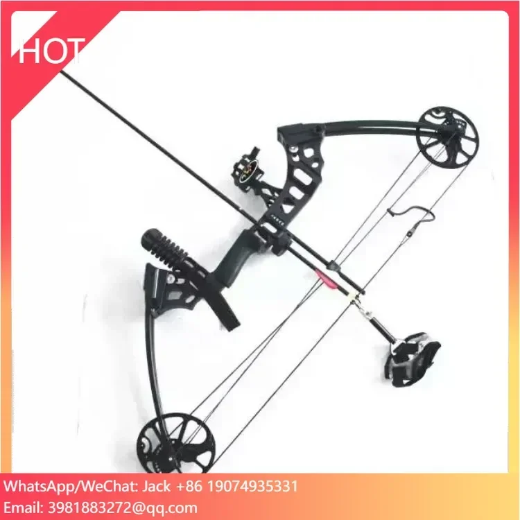 

high quality titanium alloy bow arrow outdoor hunting pro compound stainless slingshot gewehr