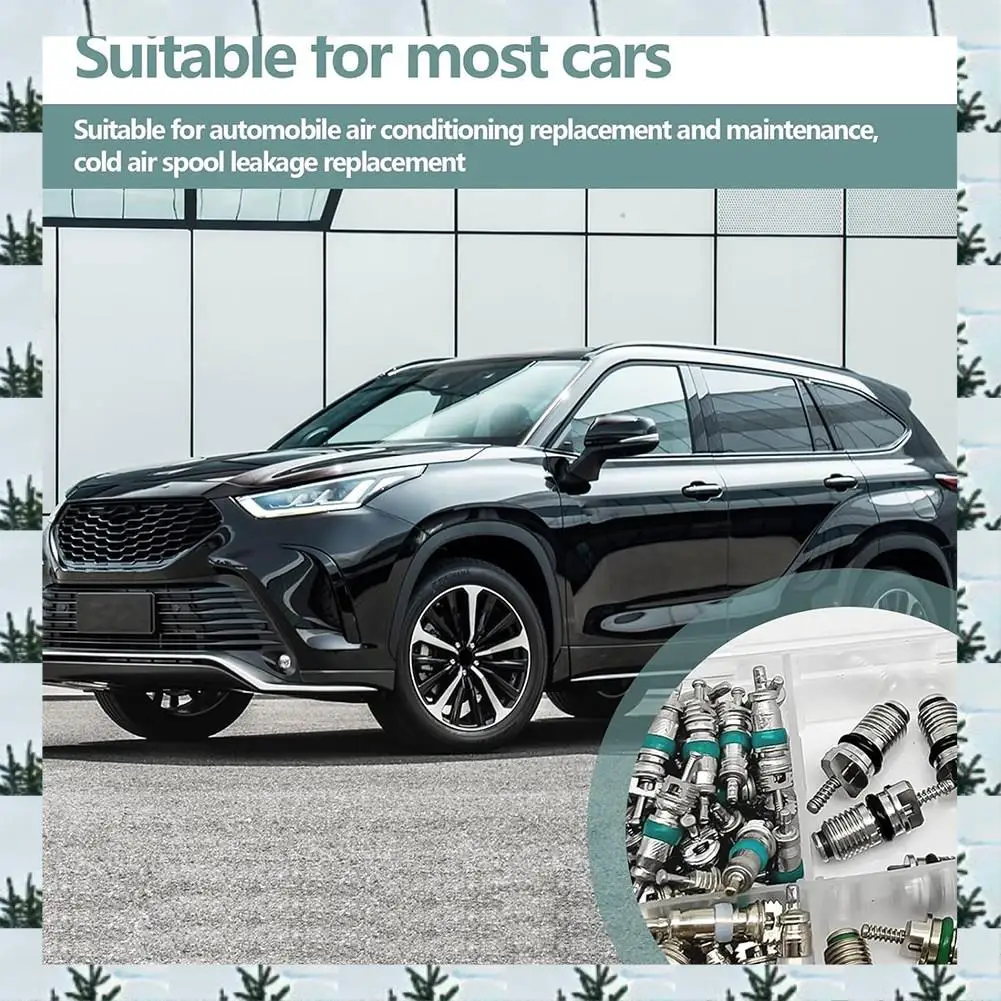 ABLG 102Pcs Air Conditioning Valve Core Valve Cores A/C R12 R134a Accessories Kit, Valve Stem Cores Repair Tool Assortment