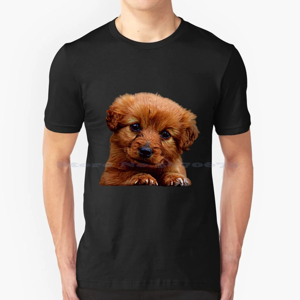 Funny T-Shirts , Puppy , Cute Skoda , Small , White Baby , Funny , Prints , Dogs T Shirt 100% Cotton Tee Funny Puppy Cute Skoda