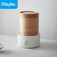 Olayks Electric Steamer Multifunctional Household Multi-layer Bamboo Steamer Box Steamer Breakfast Machine 220V