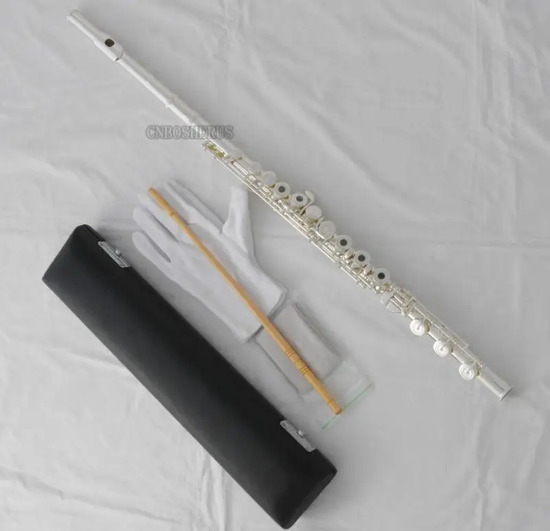 Hot sale  Professional Silver Flute 17 Open Holes B Foot French Point Key with Case
