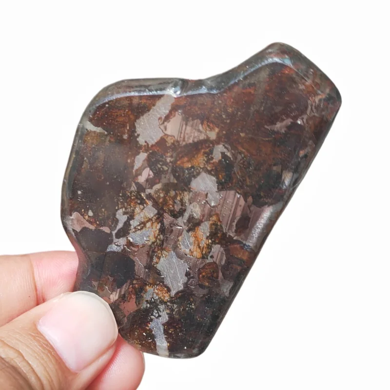 12g Sericho Pallastie meteorite slice Olivine Meteorite Natural Specimen Meteorite material Collection - from Kenya -QA827