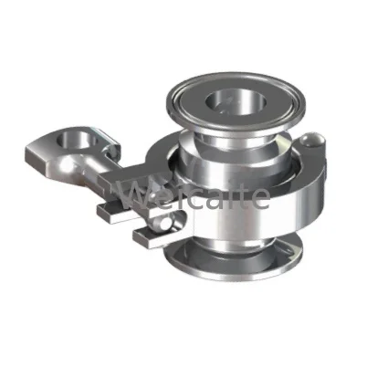 

316L Stainless Steel Corrosion Resistant DCVS Check Valve for Water Medium Cleaning and Sanitation Systems