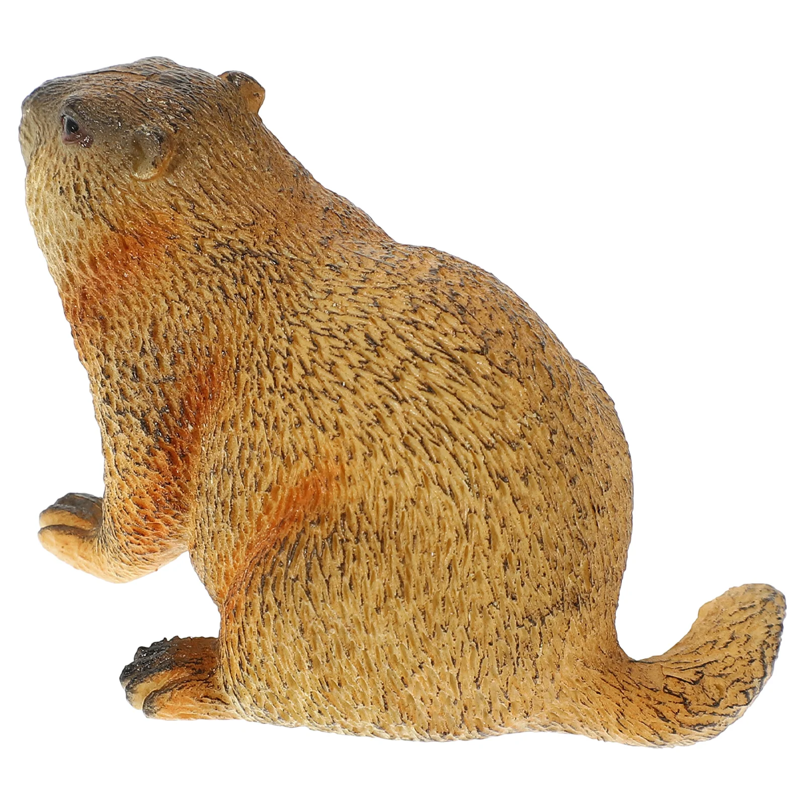 Simulated Wild Animals Kids Toys Simulation Groundhog Figures Model Realistic Figurines Plastic Child Cognitive