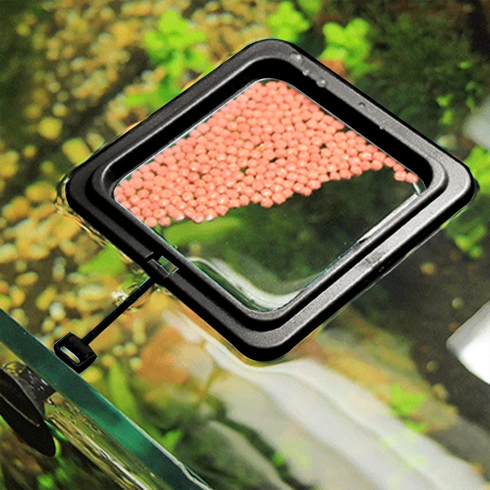 2 Pcs Fish Tank Feeding Ring Feeder Supplies Floating Food Rings Small Aquarium Holder Other Tool