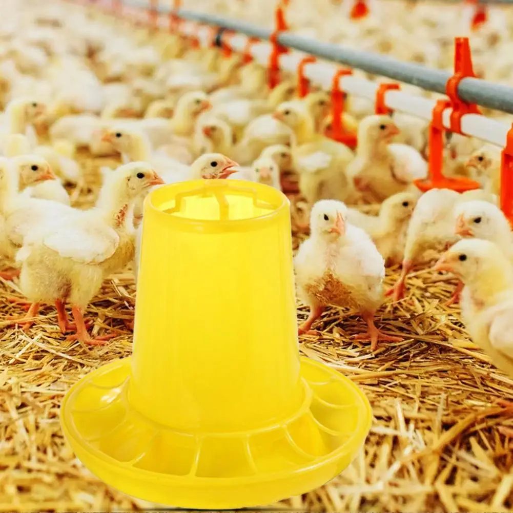 Poultry Feed Bucket  Fashion Stable Strong Toughness Chicken Food Feeder  Anti-scratch Chicken Food Feeder